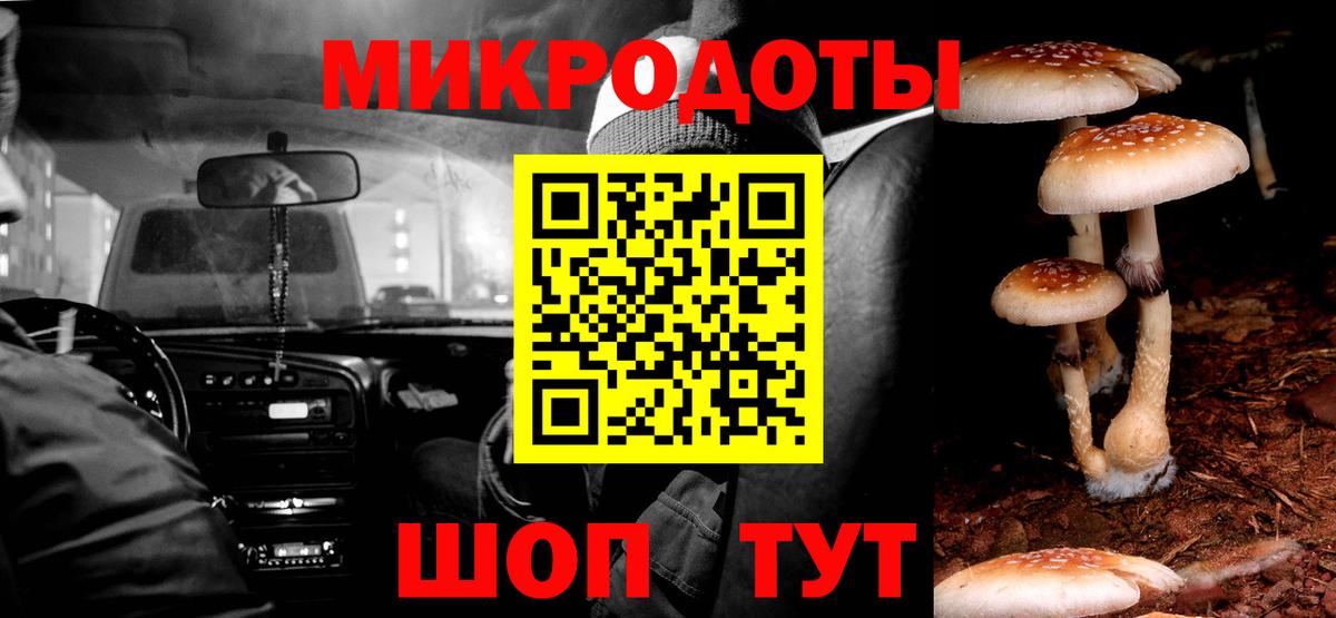 Галлюциногенные грибы Psilocybine cubensis Кольчугино