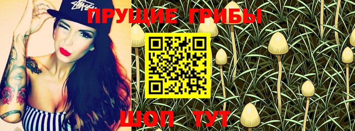 Галлюциногенные грибы Cubensis  Вход с VPN  Галлюциногенные грибы Psilocybe  Кольчугино 